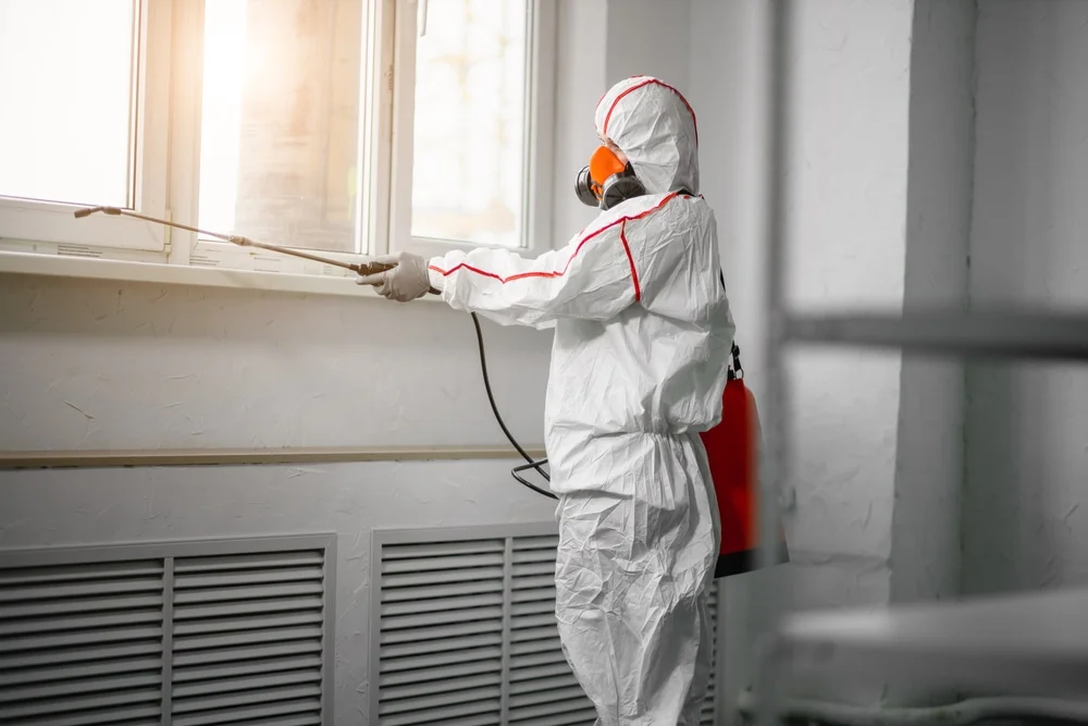 Professional mold remediation services in Riverside, UT